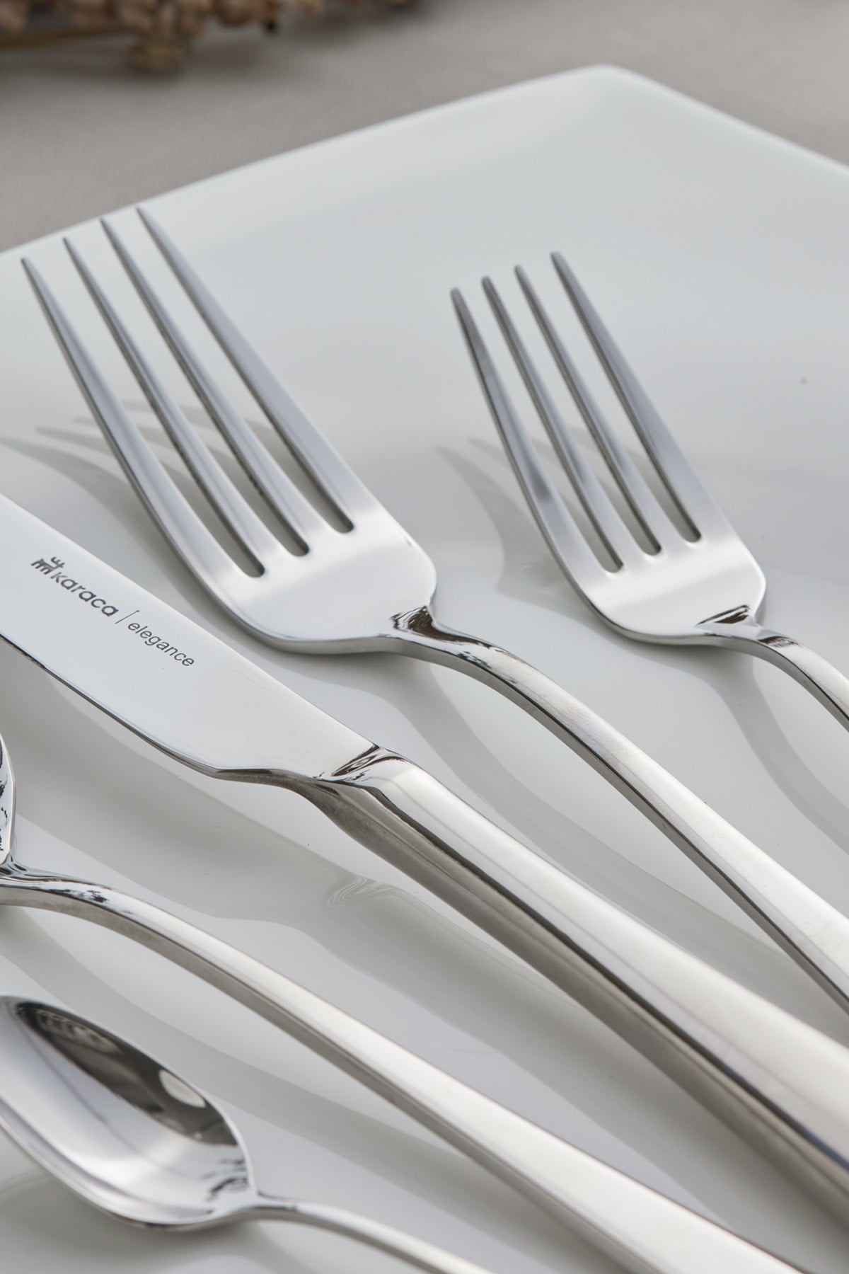 Silas 60 Pieces 12 Person Elegance Cutlery Set