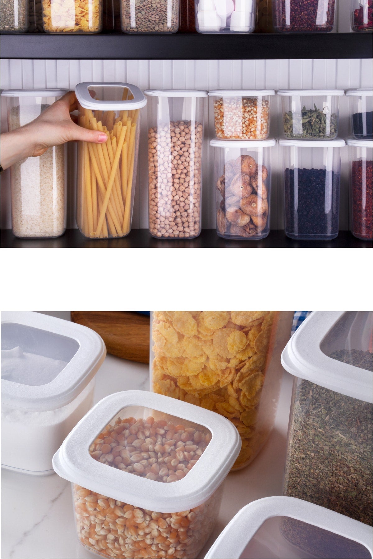 Labeled Foly Square Food Storage Container Set Of 12 1,2 Medium White
