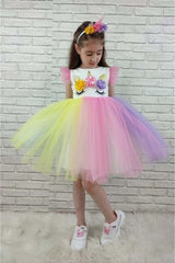 Colorful Skirt Crown Girl Child Party Dress Pink