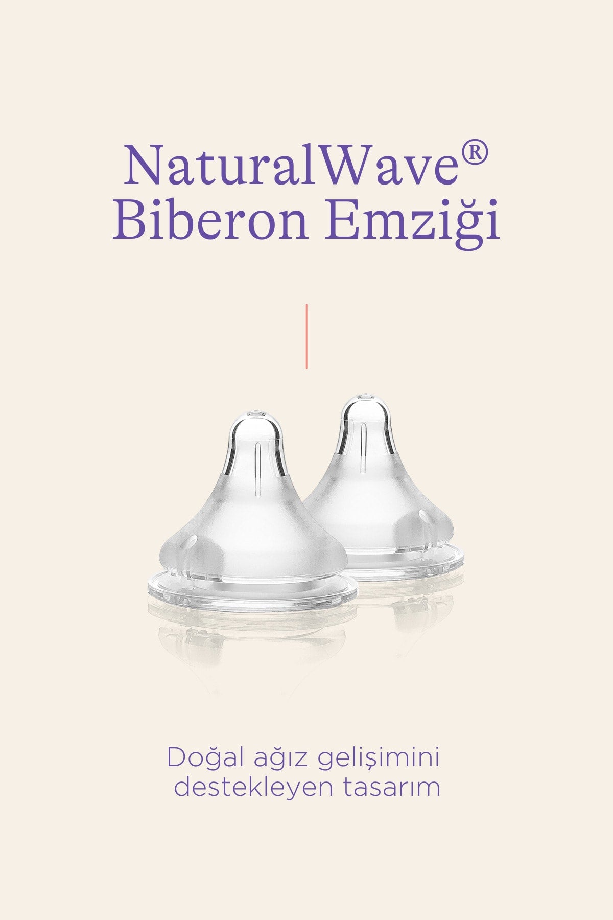 Natural Wave Sauger Fast Flow 2 Stück