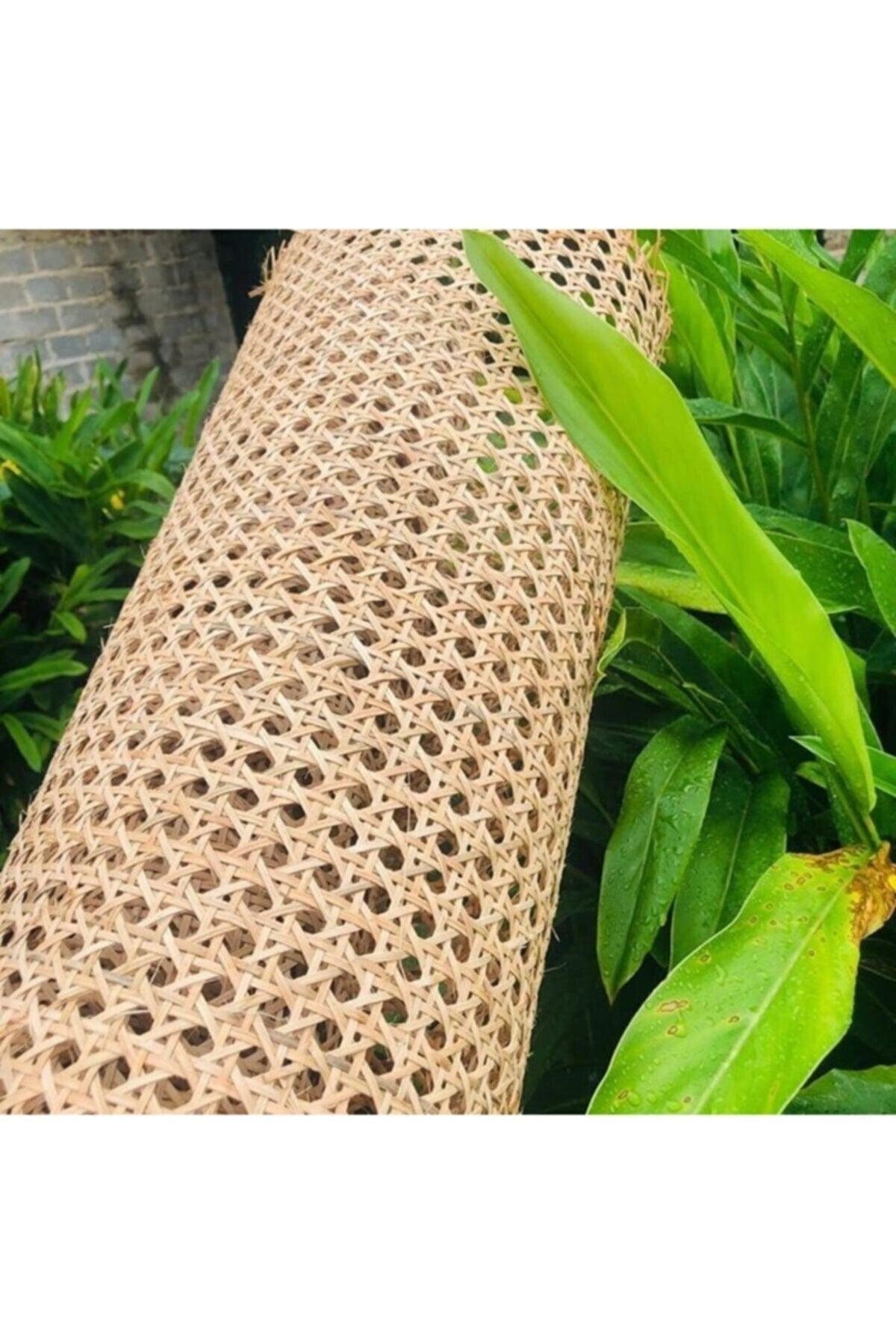 45cmx100cm Plastic Hazeran Wire Mesh - Swordslife