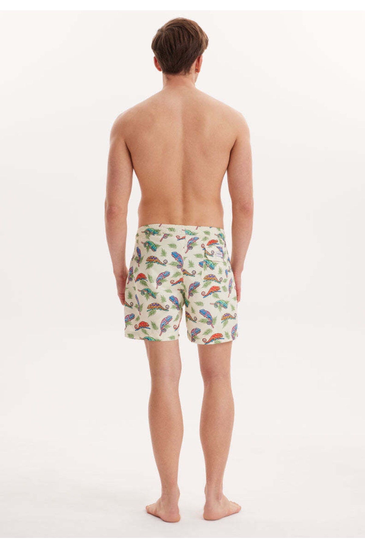 Men'S Beige Printed Sea Shorts Wmpattern Swımshorts