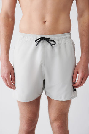 Men'S Gray Quick Dry Standard Size Straight Swimwear Marine Shorts E003801