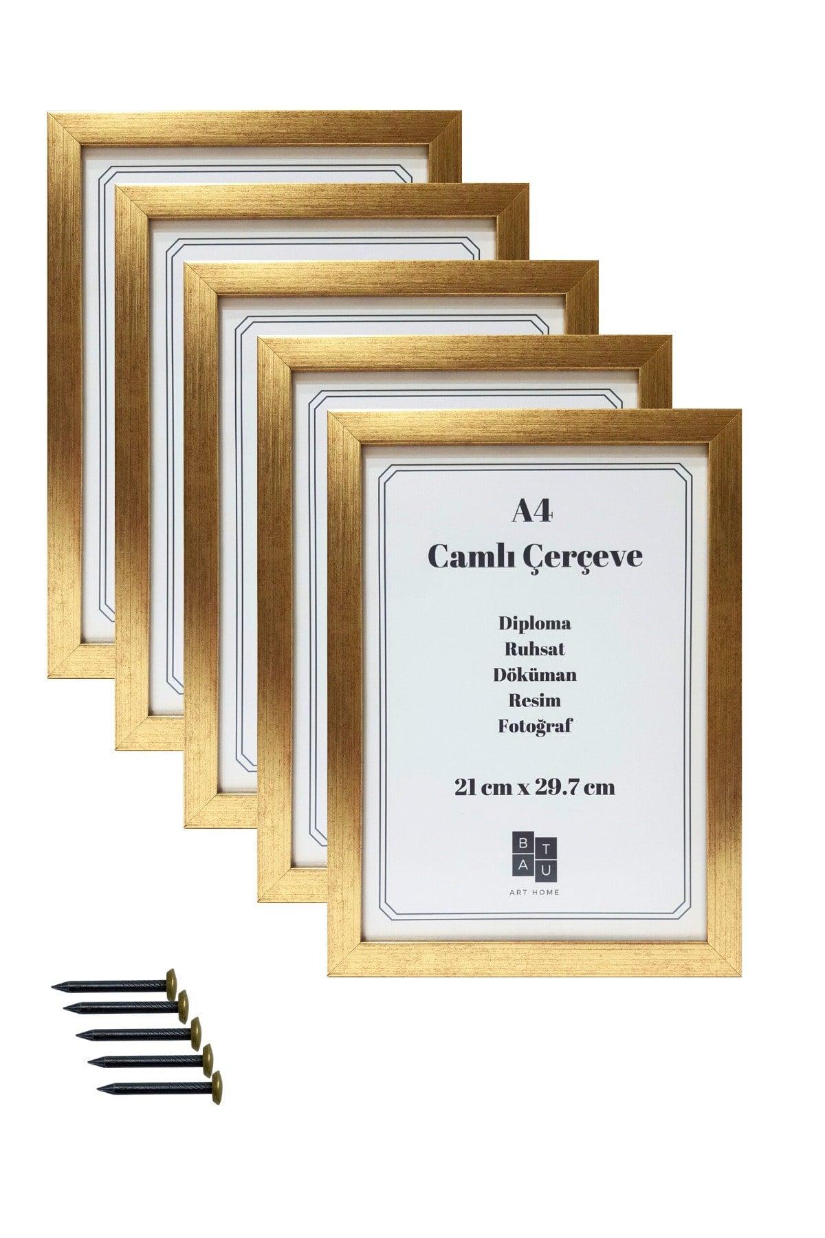 5 Pieces A4 Frame Glass Document Diploma Picture