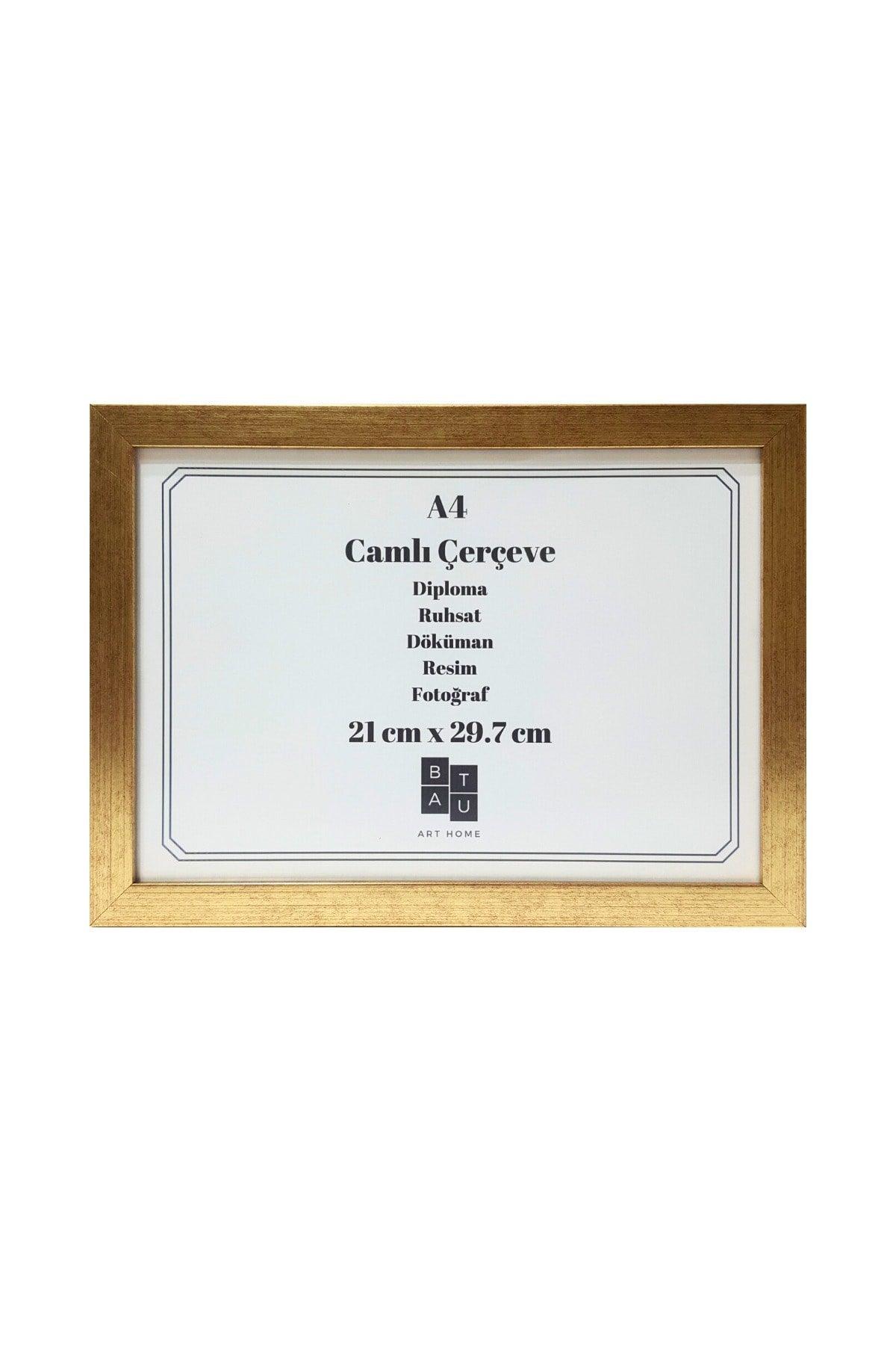 5 Pieces A4 Frame Glass Document Diploma Picture