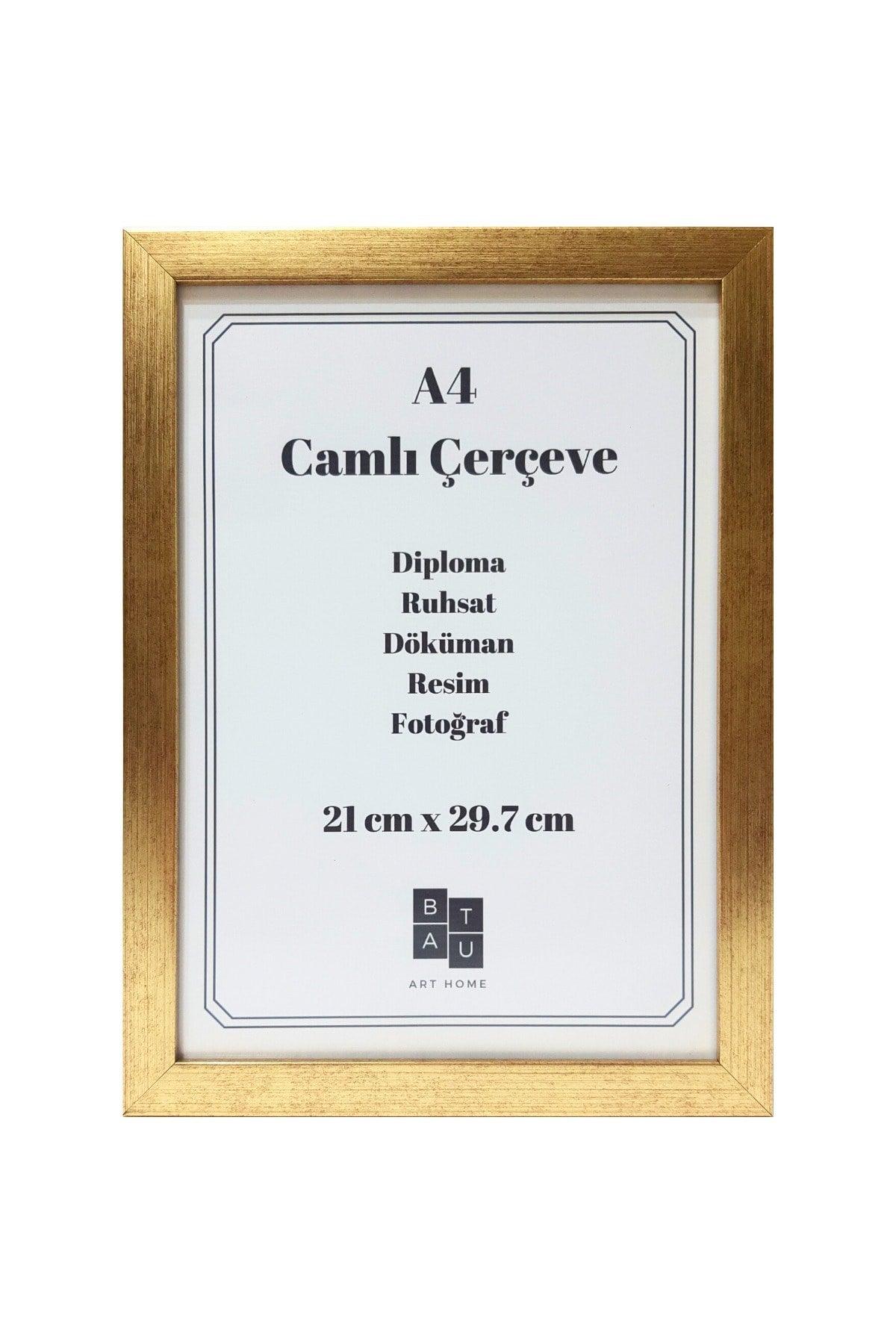 5 Pieces A4 Frame Glass Document Diploma Picture