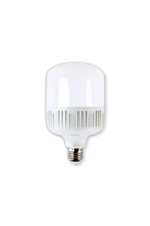 50 Watt Led (torch) Big Bulb