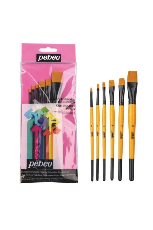 6 Pcs Brush Set No:3