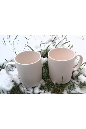 6 Pcs Biscuit C Cup With Handle Ceramic Body