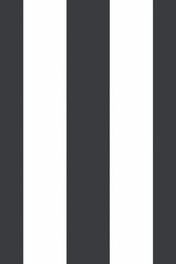 7950 Thick Striped Black and White Wallpaper (5 M²) - Swordslife