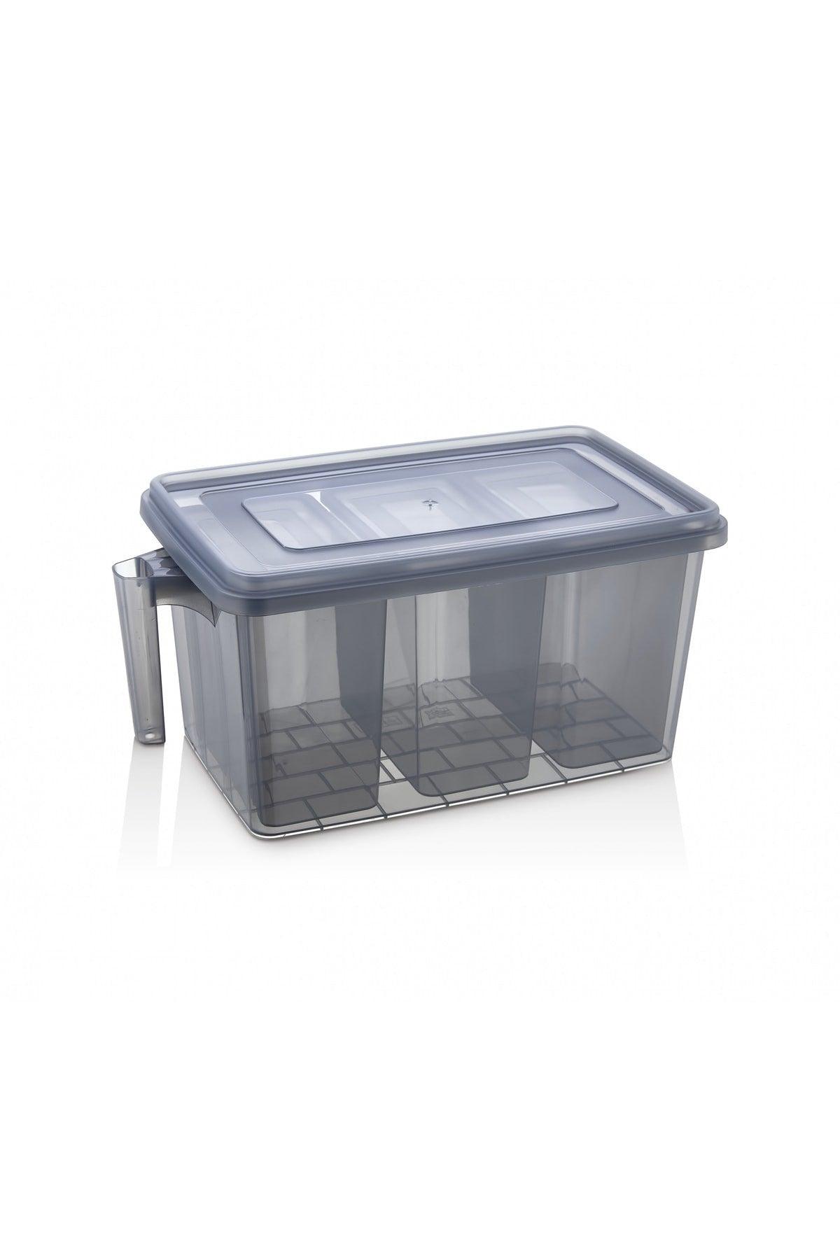 8 Lt Handled Storage Container Organizer Refrigerator Organizer 4 Pcs. Transparent Anthracite Gray - Swordslife