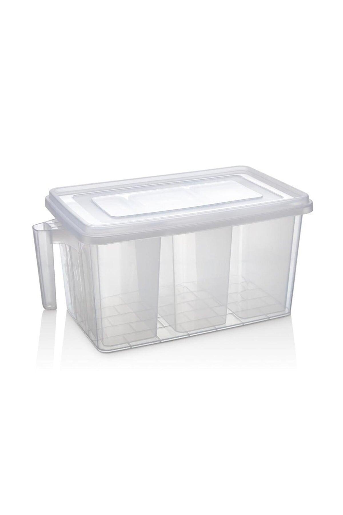 8 Lt Handled Storage Container Organizer Refrigerator Organizer 4 Pcs. Transparent Anthracite Gray - Swordslife