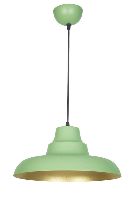 Kyiv Modern Design Green Inside Gold Color Metal Cafe - Kitchen Single Chandelier - Swordslife