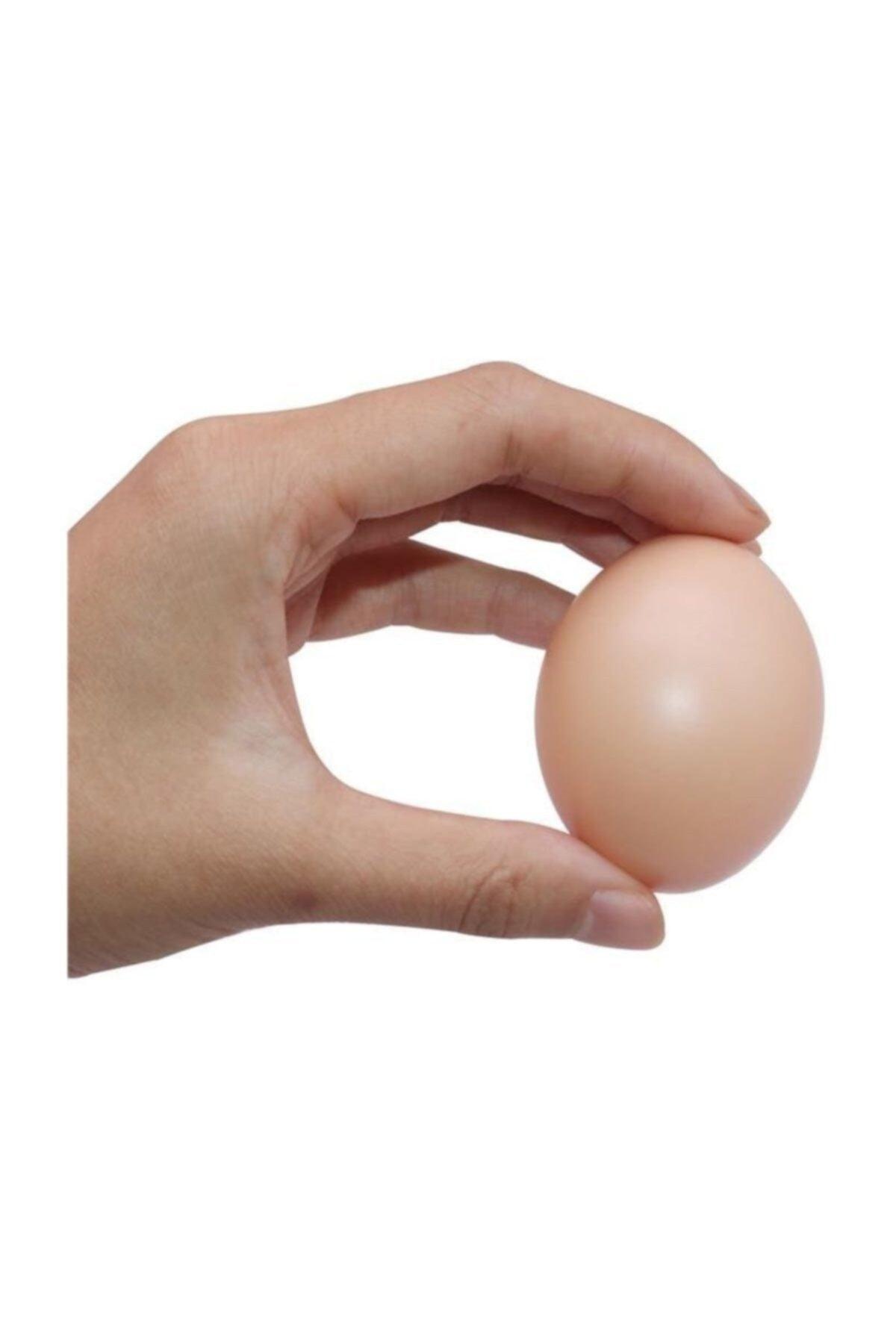 Artificial Chicken Eggs 10 in Original Size