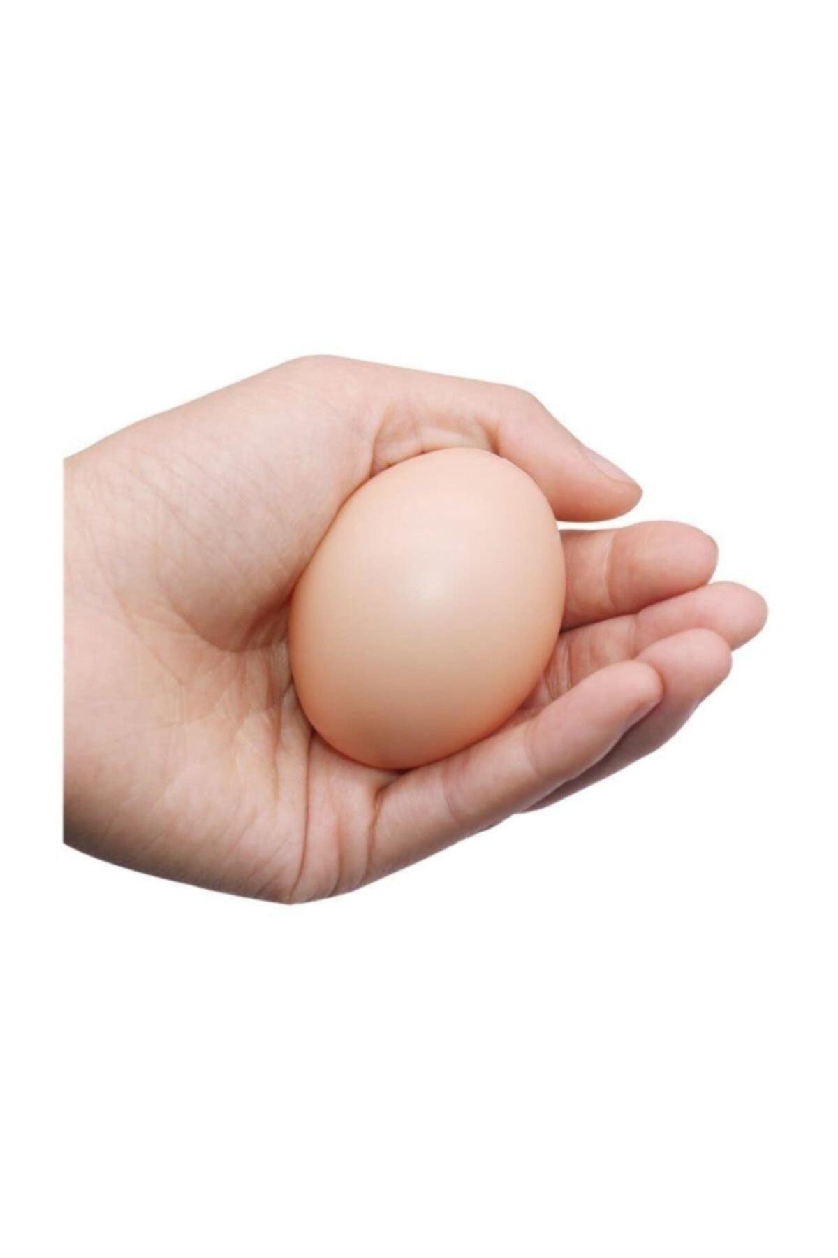 Artificial Chicken Eggs 10 in Original Size