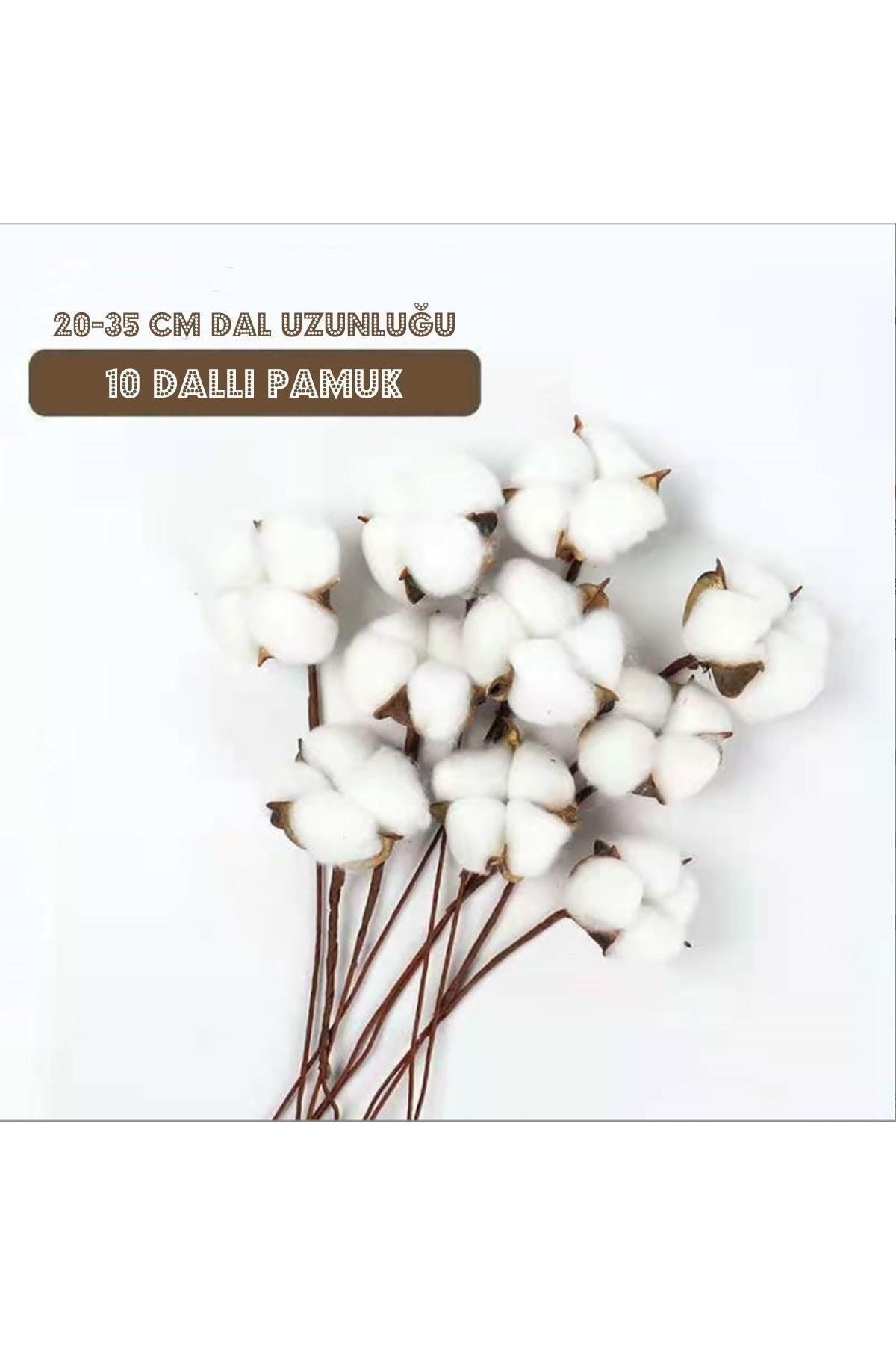 Artificial Cotton Branches - 10 Pcs - Swordslife