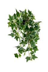 Artificial Flower Pot Hanging Green White Hedera Artificial Ivy Pastel 45cm - Swordslife