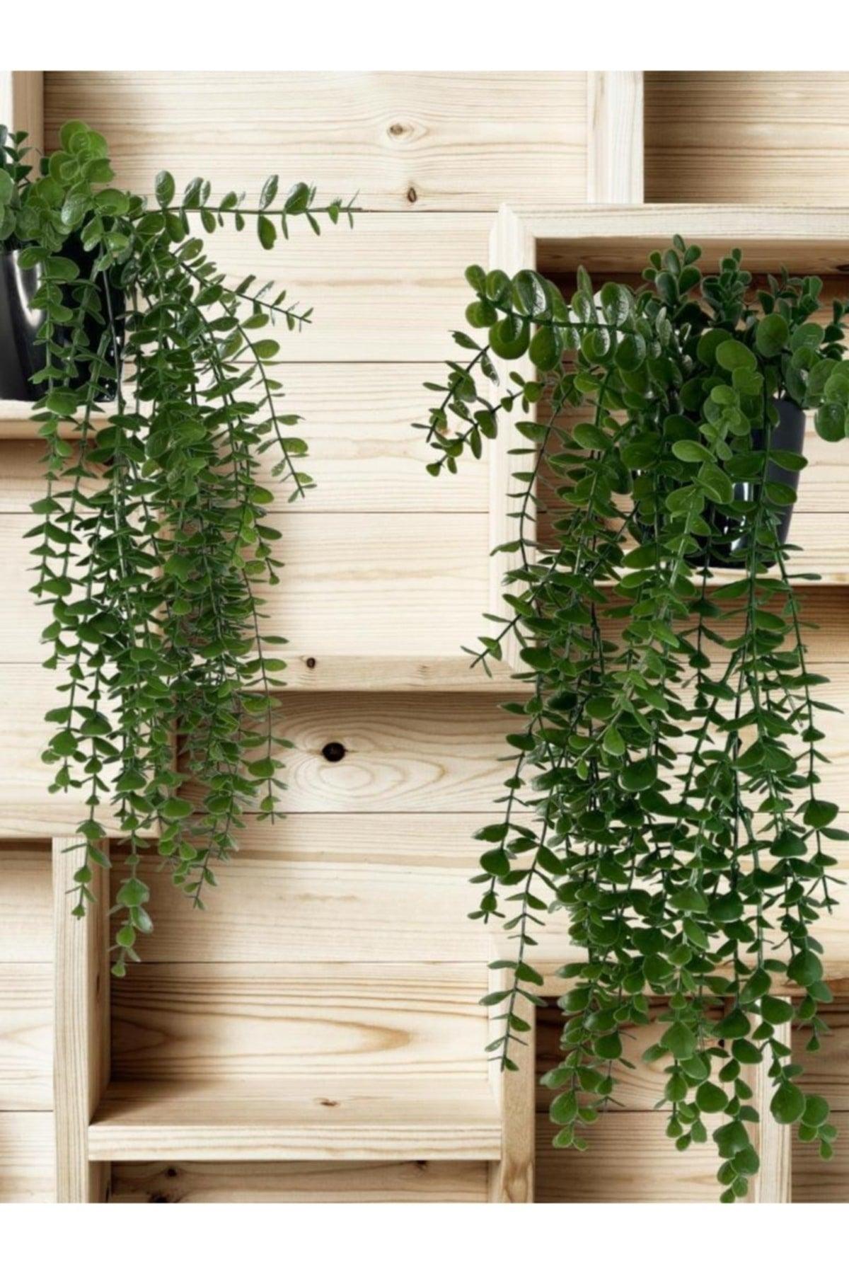 Artificial Flower Pot Hanging Boxwood Eucalyptus Artificial Ivy Pastel 60cm - Swordslife