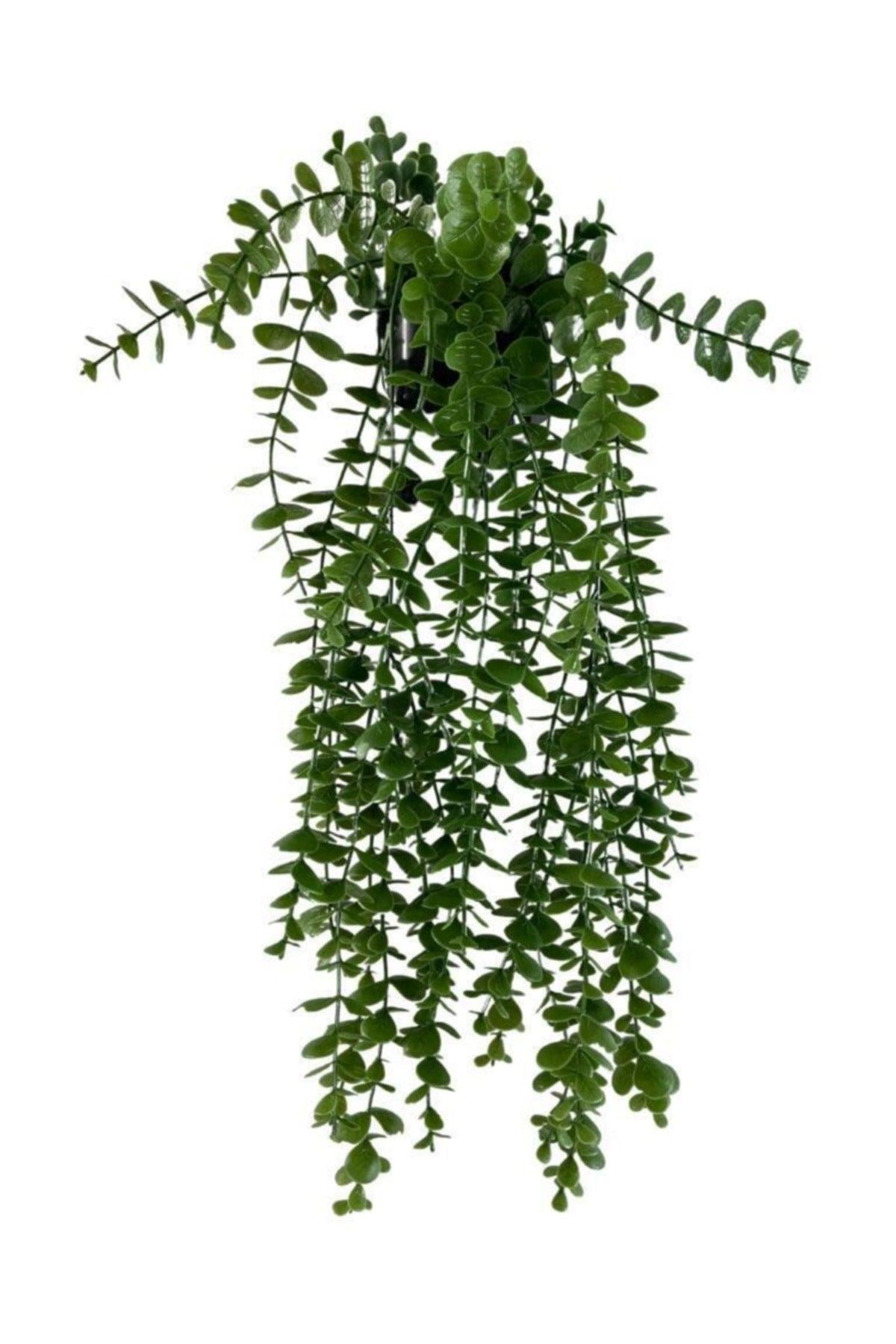 Artificial Flower Pot Hanging Boxwood Eucalyptus Artificial Ivy Pastel 60cm - Swordslife