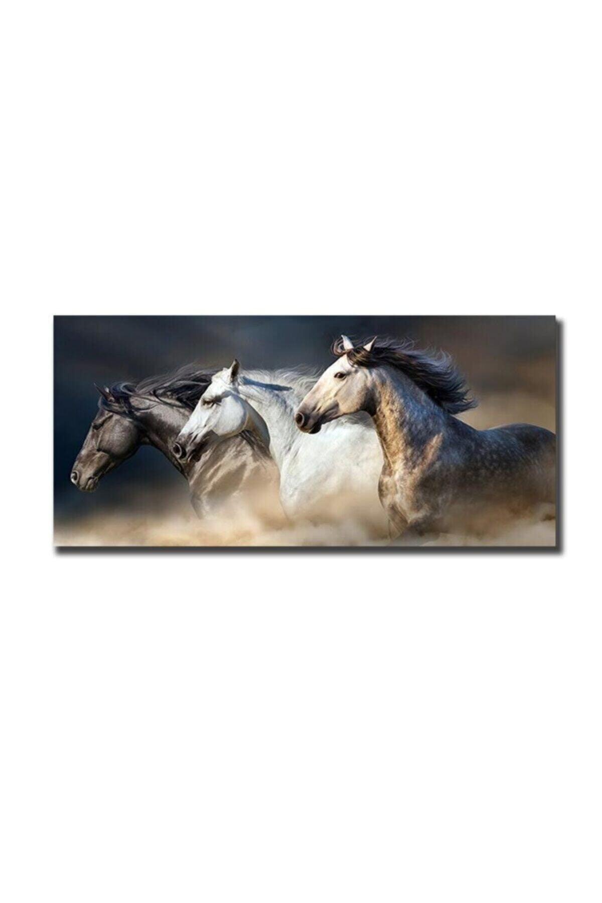 Horse Painting Decoration Canvas Painting - Swordslife