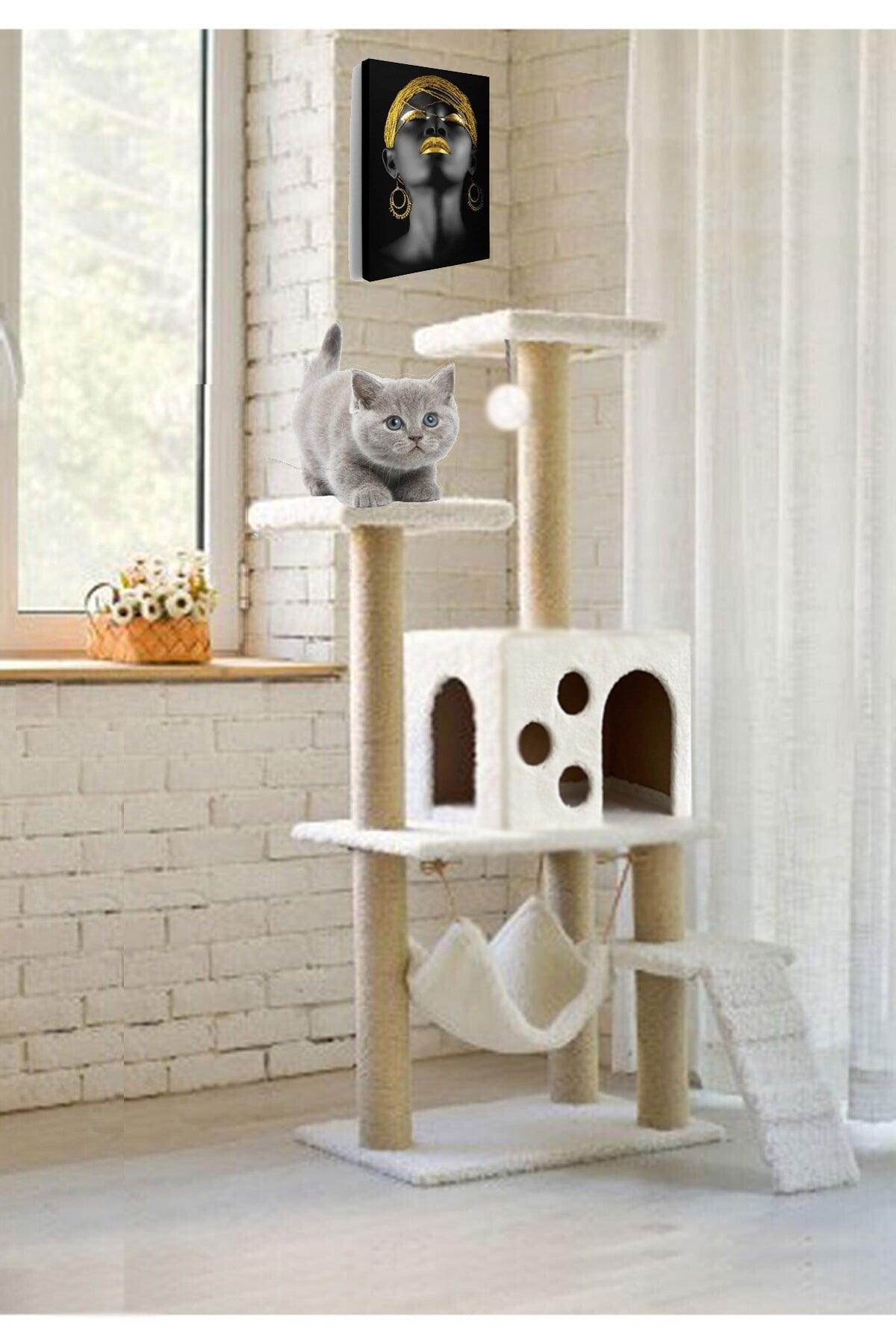 B-10 Luxury Cat Scratching House with Hammock Slot
