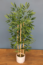 Bamboo Tree in Concrete Pot 110 Cm 3 Trunks - Swordslife