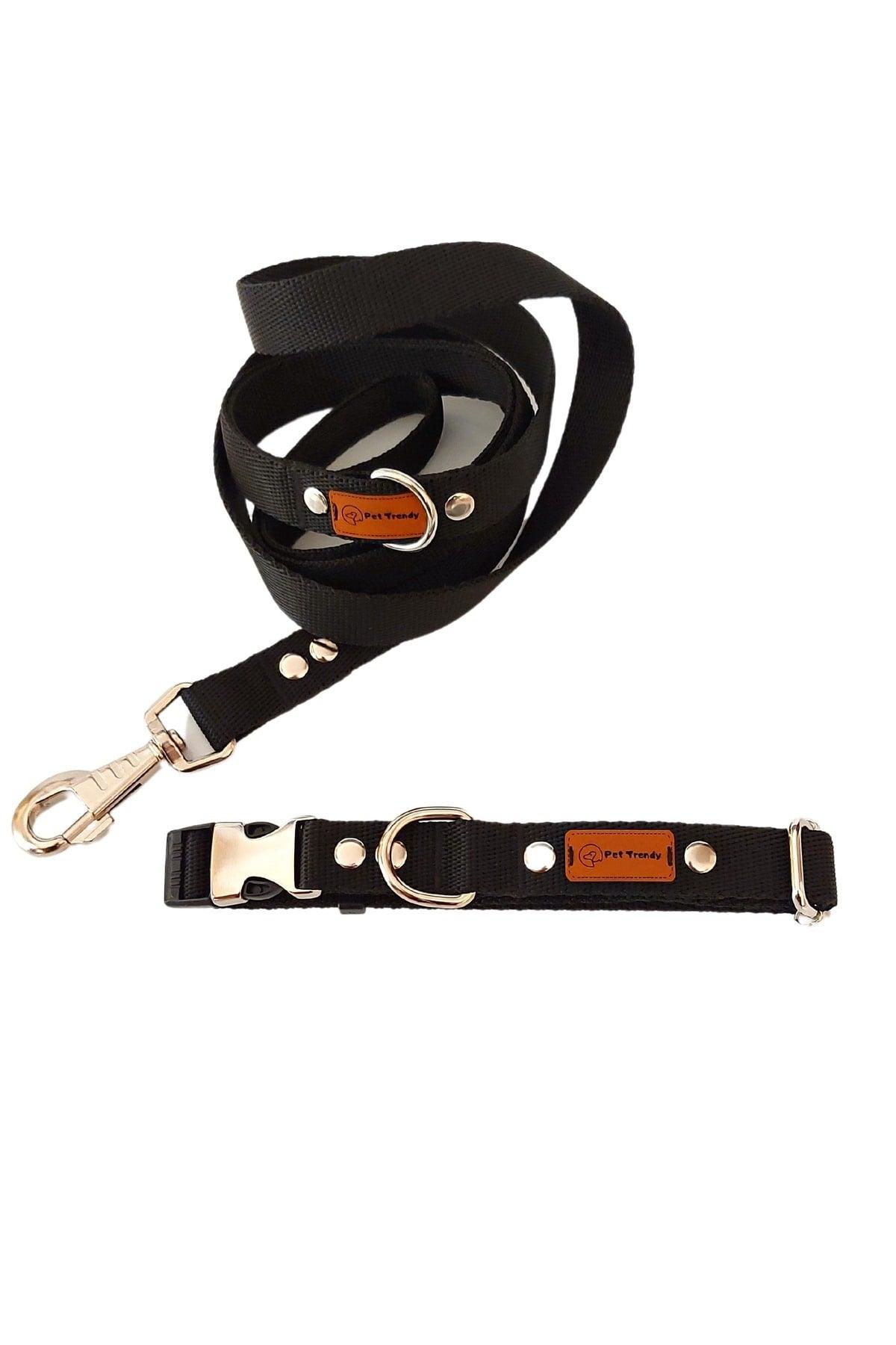 Black Small Medium Breed Dog Collar and