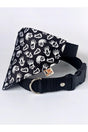 Boo Scarf Dog Collar