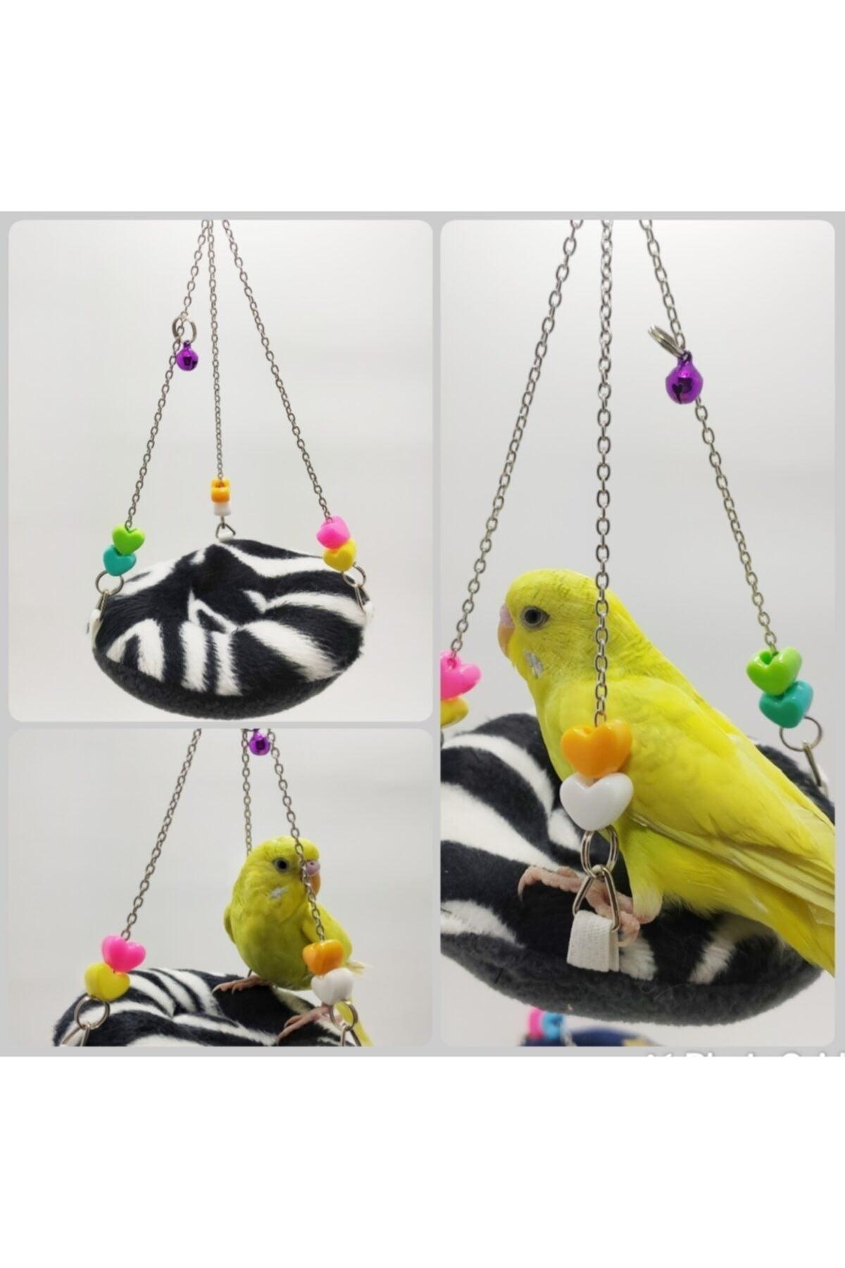 Budgie Swing