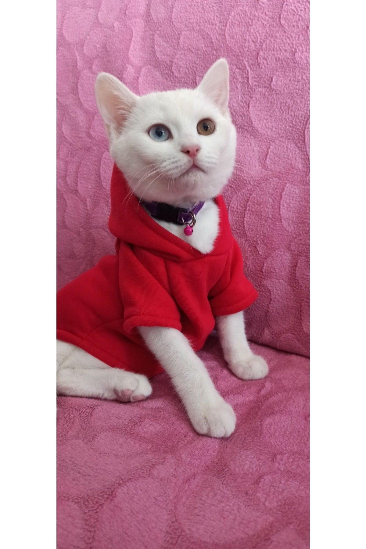 Cat Dog Clothes Hoodie Pattern Plain