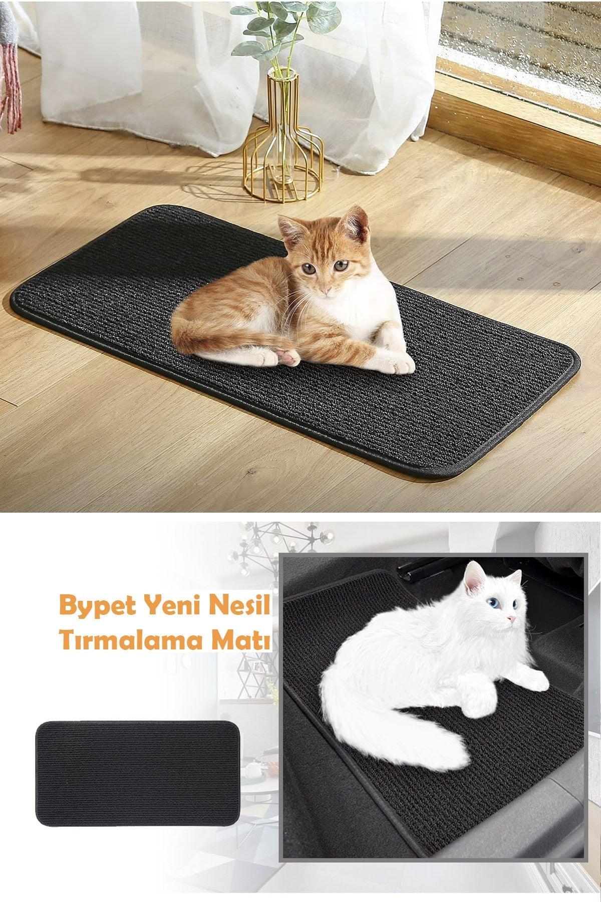 Cat Scratching Carpet - Cat Nail Care