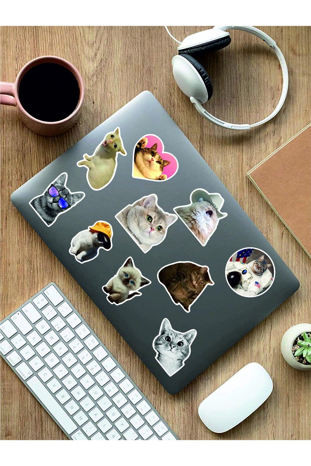 - Cats Themed Laptop Notebook Tablet Sticker