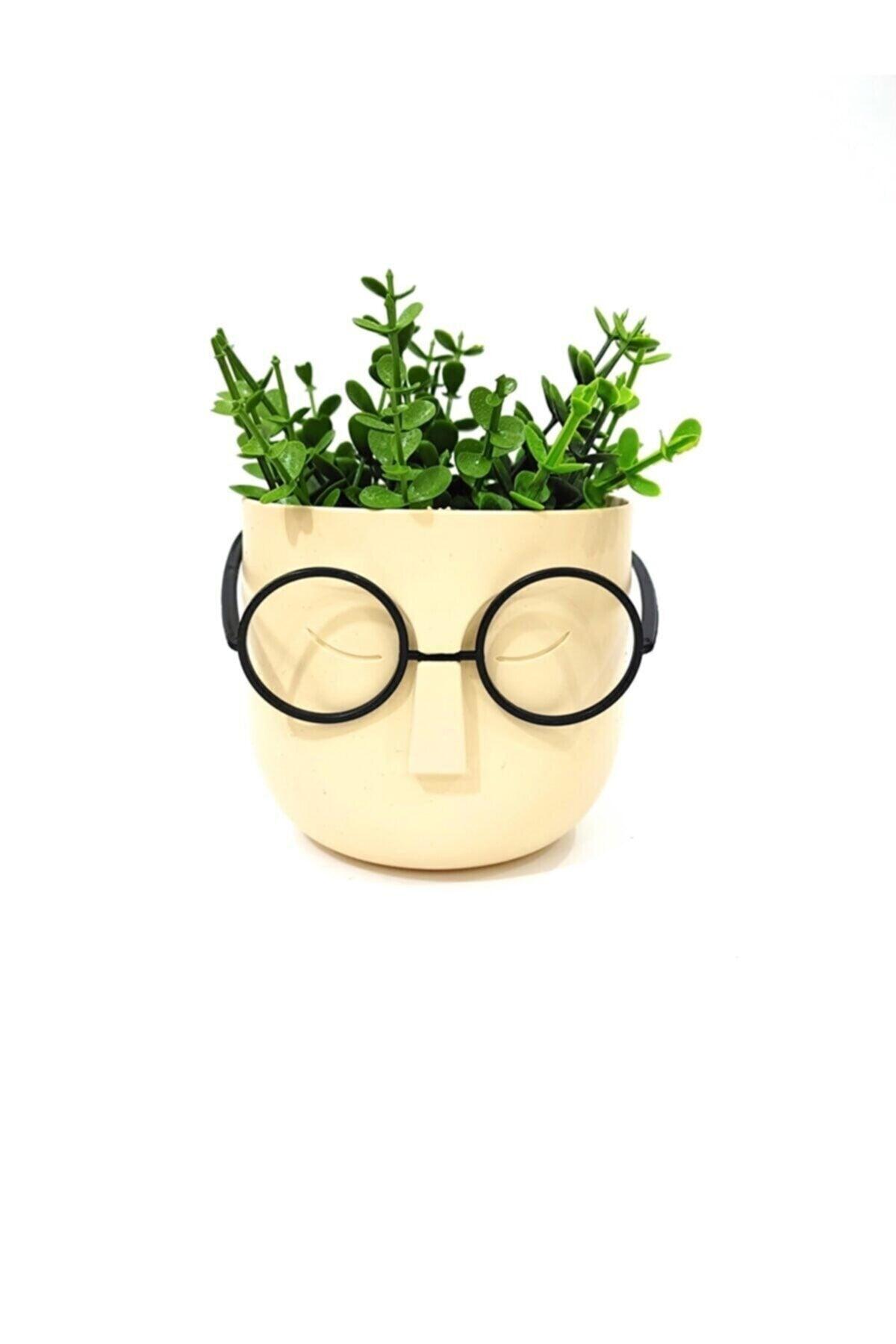 Crazy Professor Glasses Artificial Flower Pot Decorative Trinket Cream - Swordslife