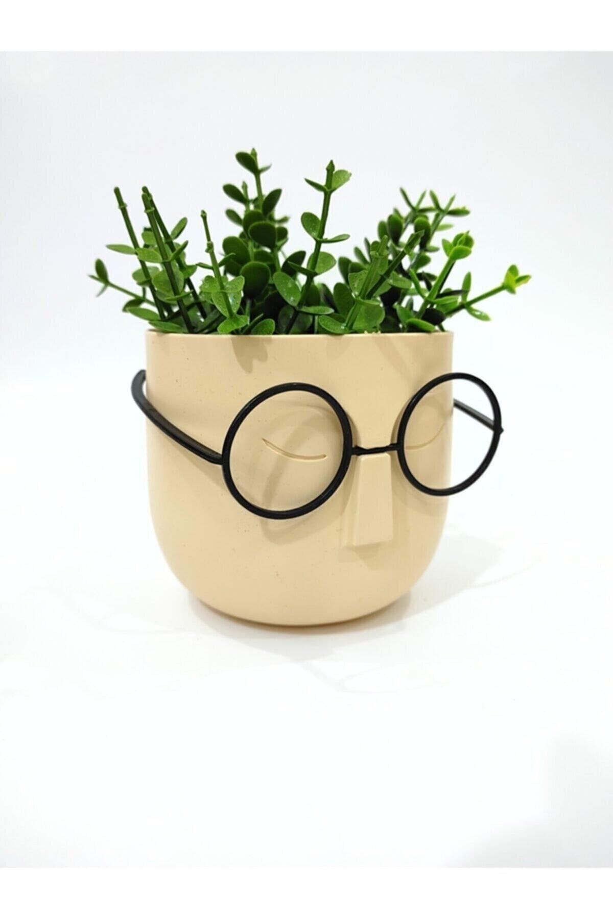 Crazy Professor Glasses Artificial Flower Pot Decorative Trinket Cream - Swordslife