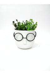 Crazy Professor Glasses Artificial Flower Pot Decorative Trinket White - Swordslife