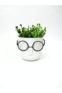 Crazy Professor Glasses Artificial Flower Pot Decorative Trinket White - Swordslife