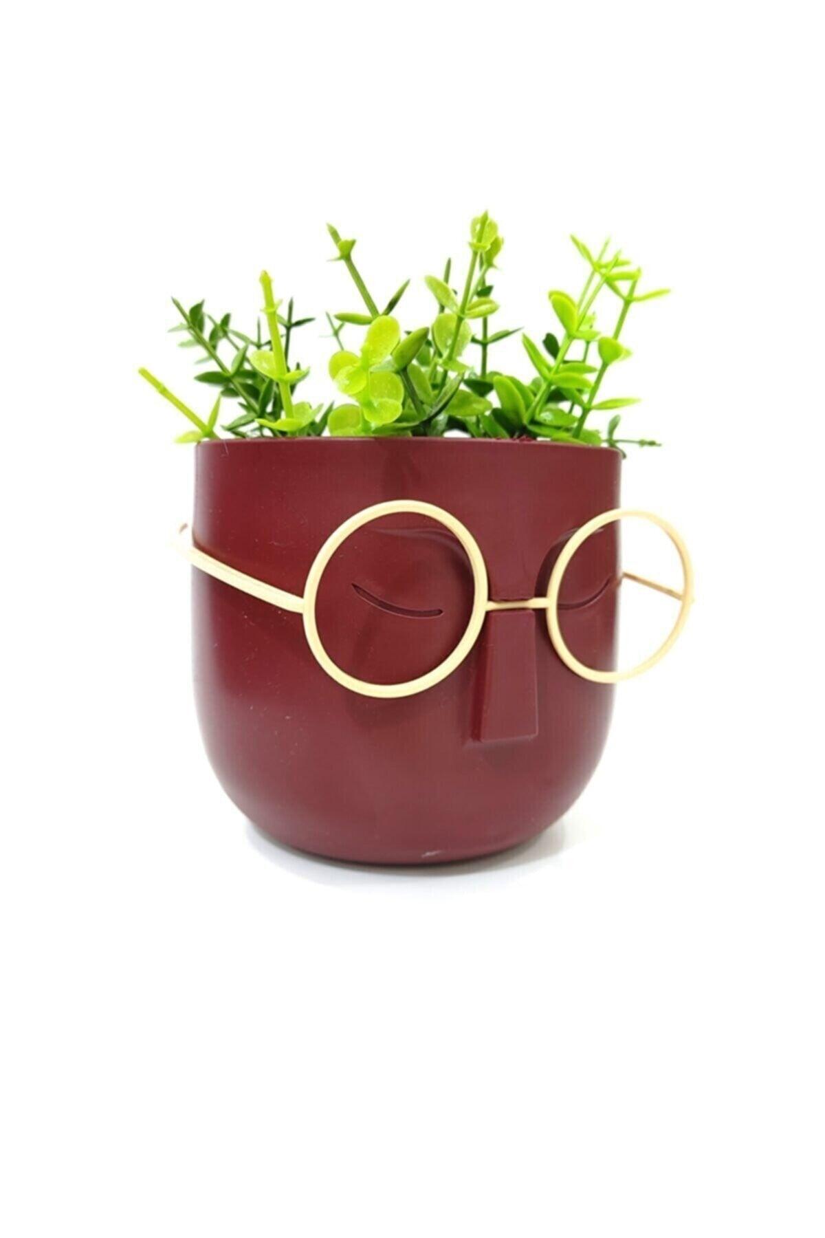 Crazy Professor Glasses Artificial Flower Pot Decorative Trinket Burgundy - Swordslife