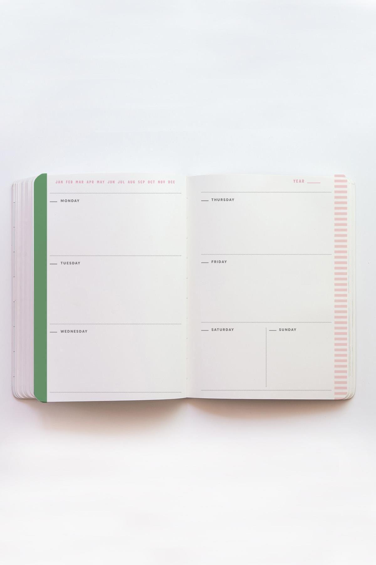 Colored Dotted Indefinite Agenda