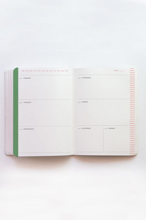 Colored Dotted Indefinite Agenda