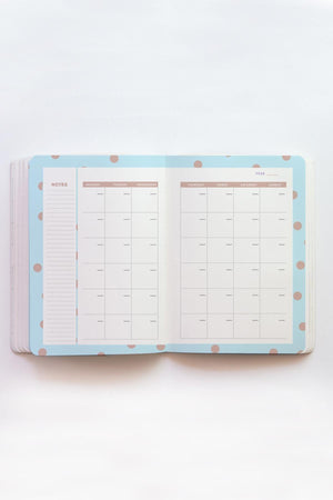 Colored Dotted Indefinite Agenda