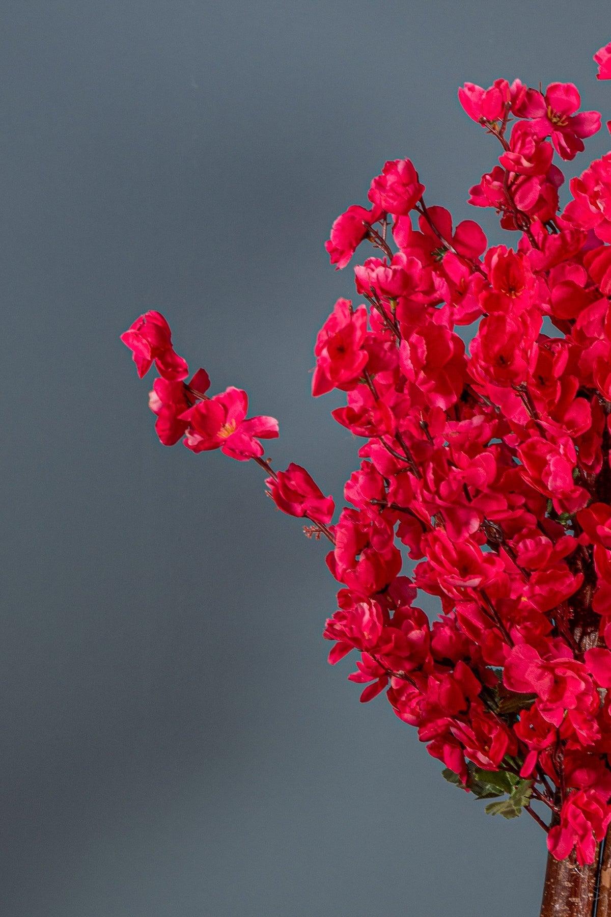 100 Cm Pomegranate Flower Colorful Spring In Concrete Pot