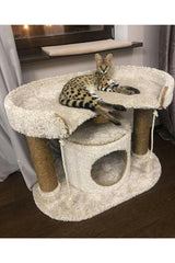 Decorative Cat/dog Bed