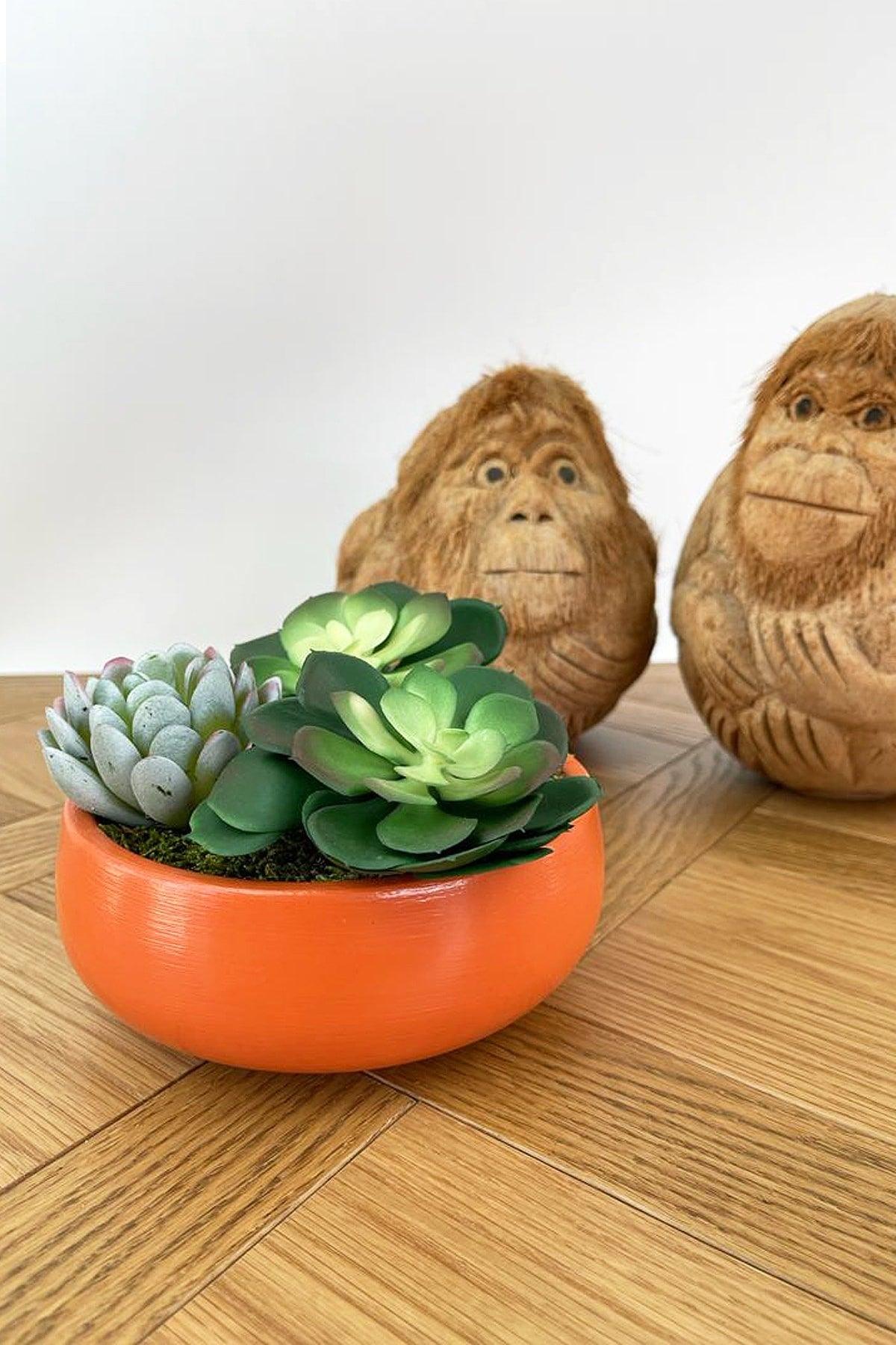 Artificial Flower / Artificial Succulent Arrangement in Deep Decorative Plate -orange - Swordslife