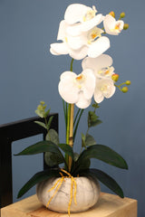 Decorative 2 Mini Artificial Wet Orchid Arrangement White 45 Cm - Swordslife