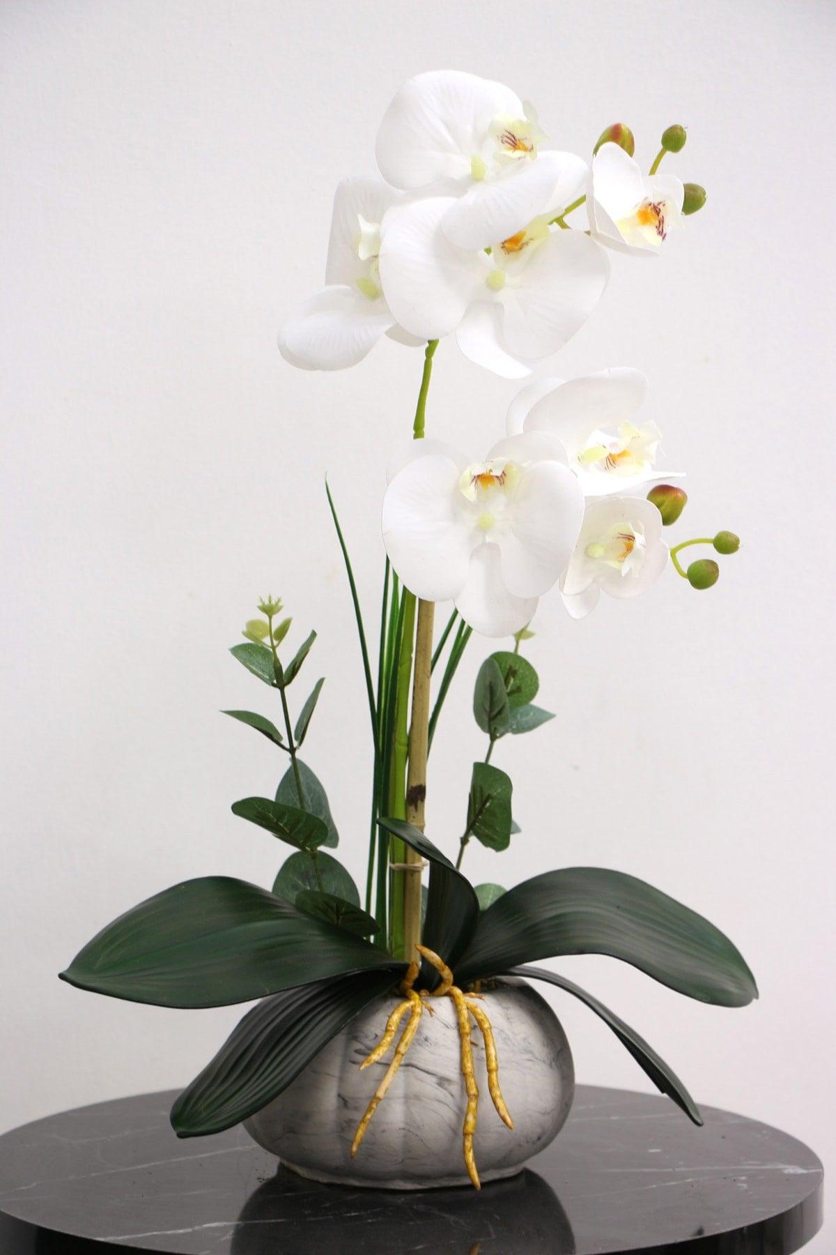 Decorative 2 Mini Artificial Wet Orchid Arrangement White 45 Cm - Swordslife