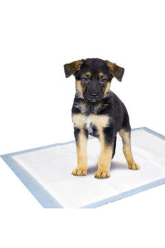 Disposable Dog Pee Pads, 60x90 cm, Pack of 30
