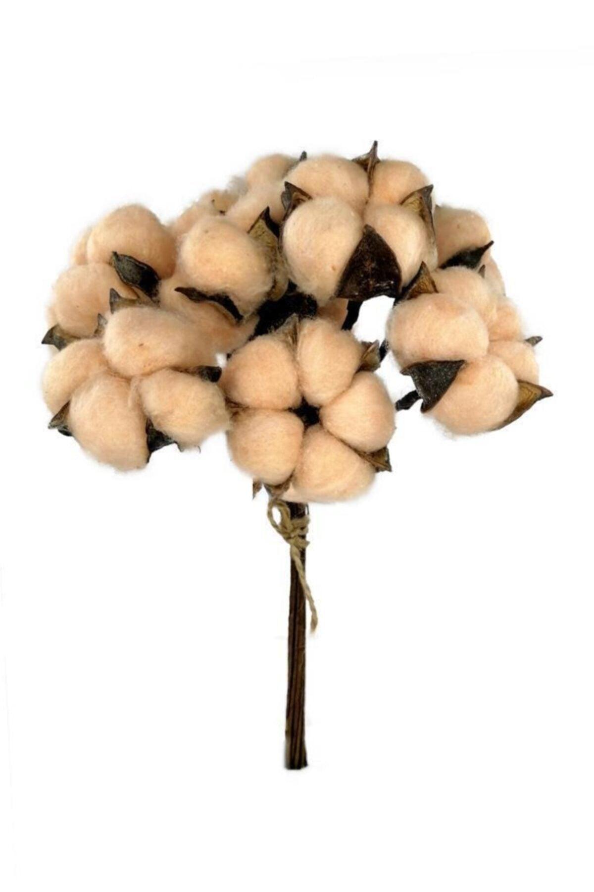 Natural Cotton Flower Cream Color 10 Pieces Single Branch Dried Flower 30 Cm Artificial Flower - Swordslife