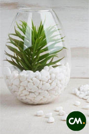 Dolomite Stone 2 Kg 10-20 Mm Decorative Vase