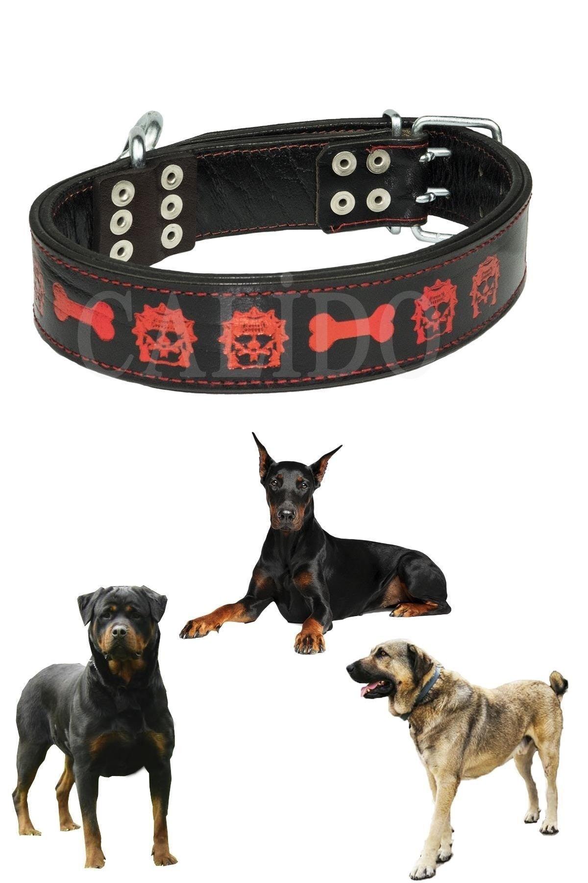 Double Layer Leather Dog Collar Belgium