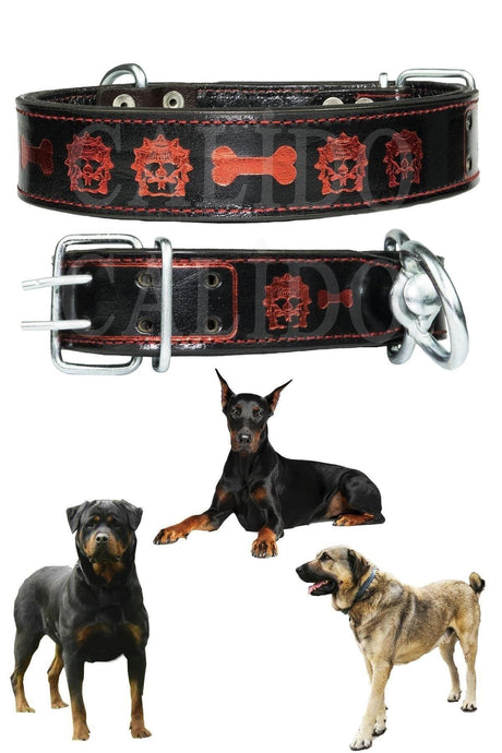 Double Layer Leather Dog Collar Belgium